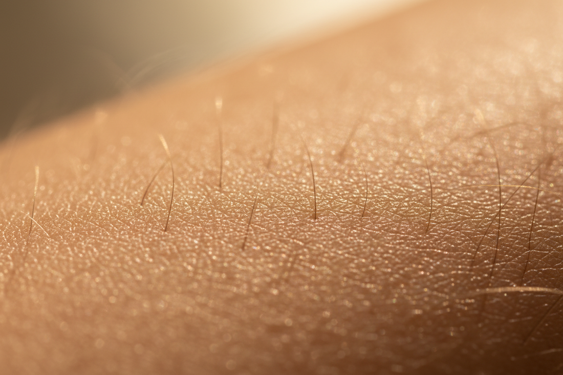 Les 5 Types de Peau : Comment Identifier le Vôtre et Choisir les Soins qui Lui Correspondent