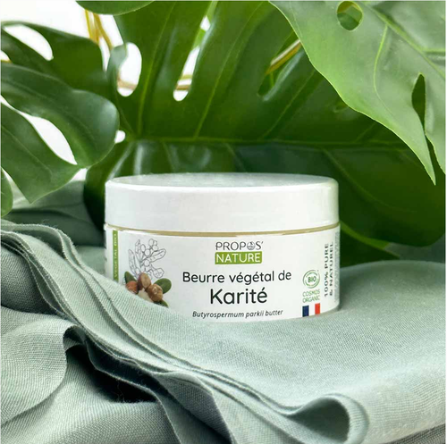 Beurre de Karité Bio - 100% Pur - Nourrissant - 100g