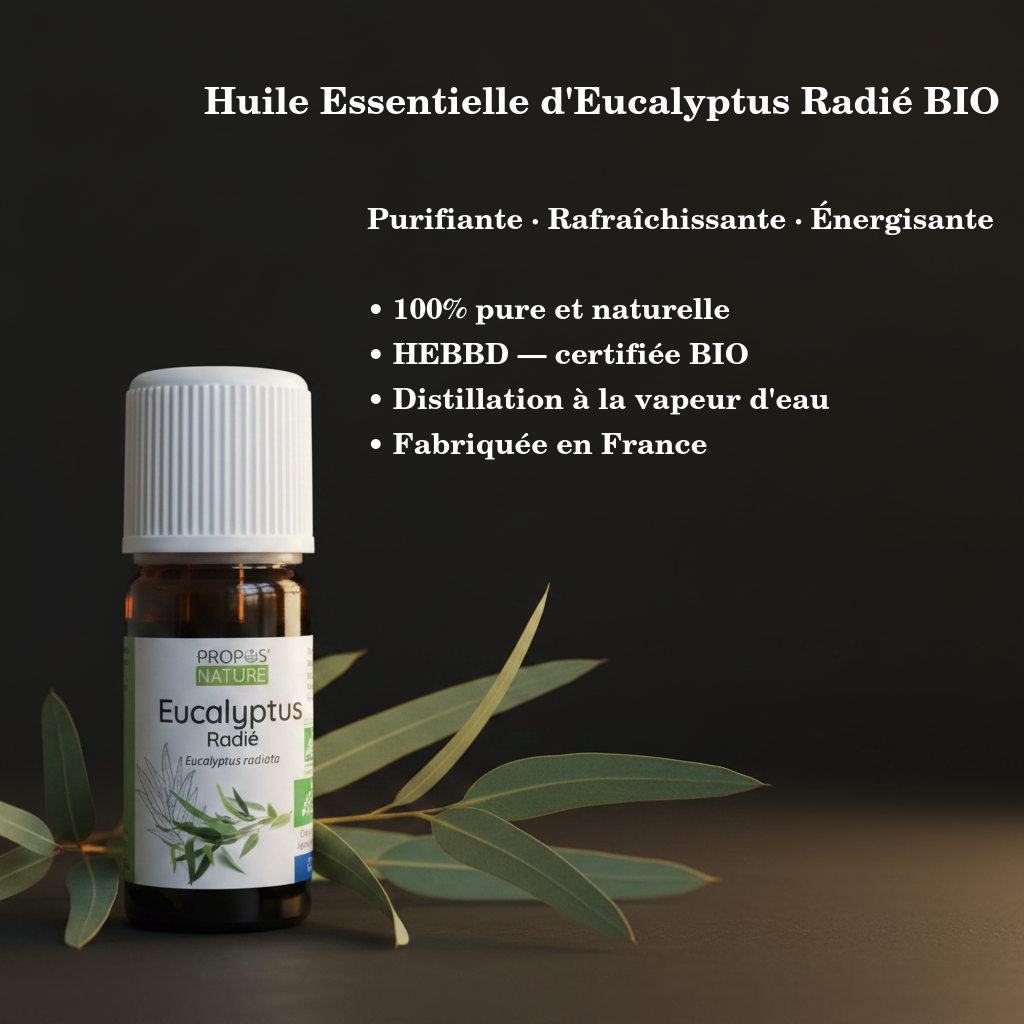 Huile Essentielle d'Eucalyptus Radié BIO — 10ml · HEBBD