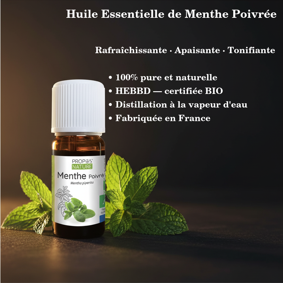 Huile Essentielle de Menthe Poivrée BIO — 10ml · HEBBD