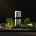 Huile Essentielle de Ravintsara BIO — 10ml · HEBBD