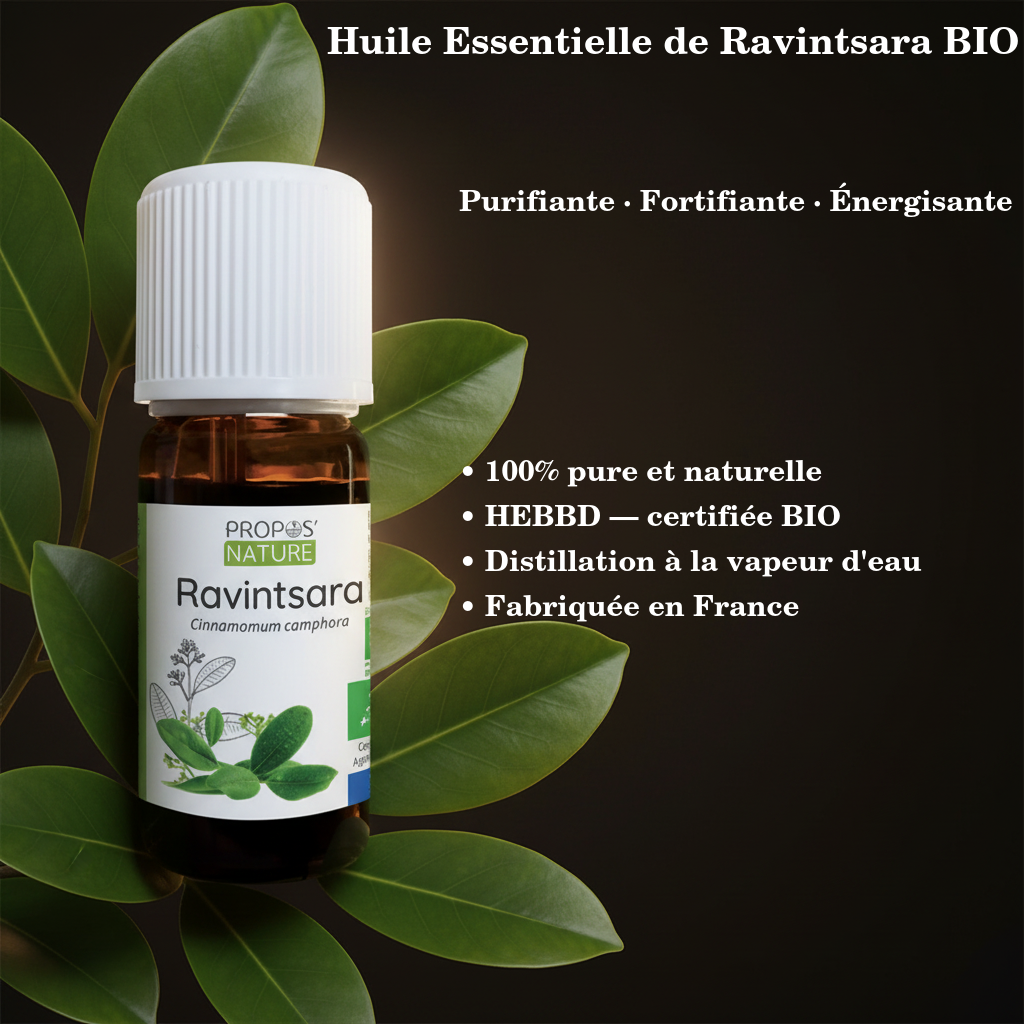 Huile Essentielle de Ravintsara BIO — 10ml · HEBBD
