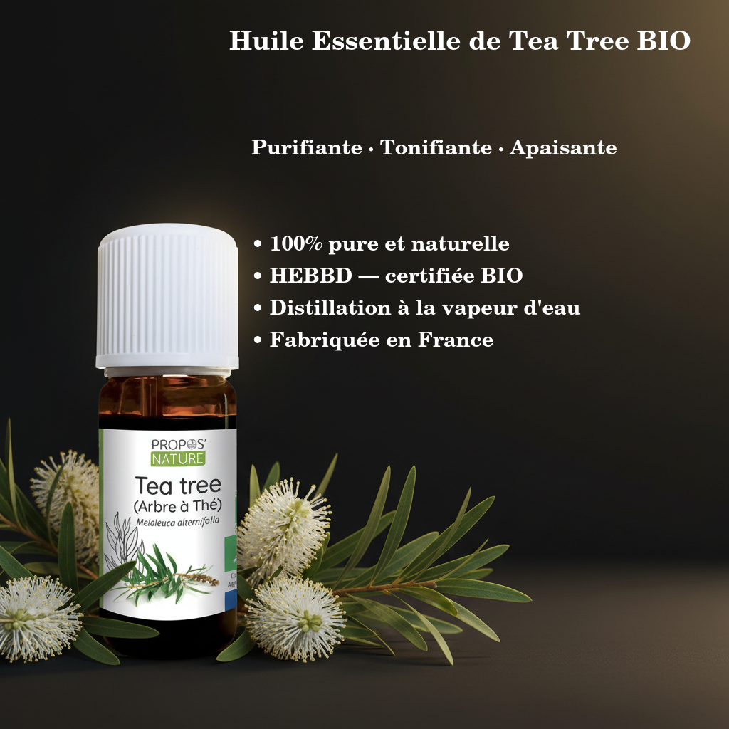 Huile Essentielle de Tea Tree BIO — 10ml · HEBBD