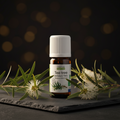 Huile Essentielle de Tea Tree BIO — 10ml · HEBBD