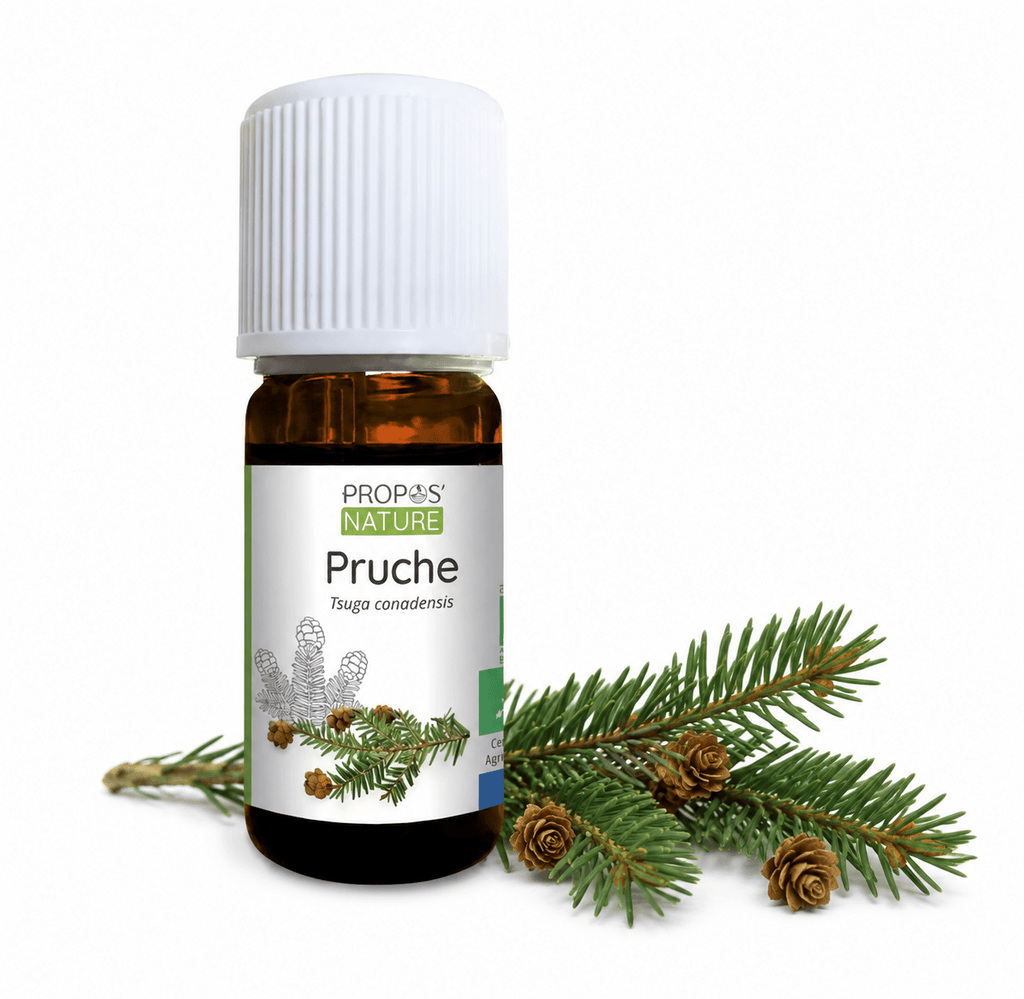 Huile essentielle de Pruche Bio 5 ml - Fabriqué en France - Huile essentielle BIO fabriqué en France - D.Crouzet