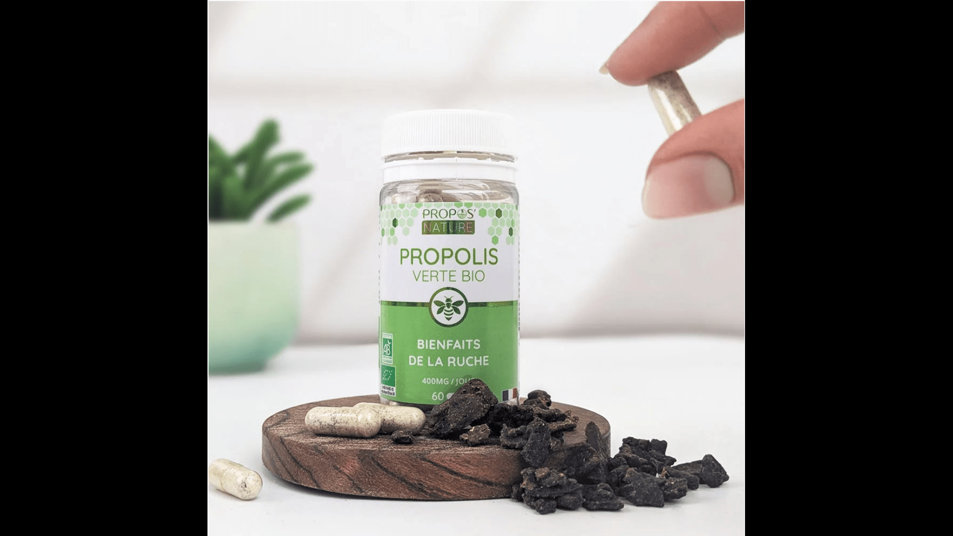 Propolis verte Bio en gélules - Immunité - Complément alimentaire BIO fabriqué en France - D.Crouzet