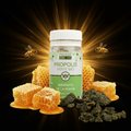 Propolis Verte BIO — fond sombre premium