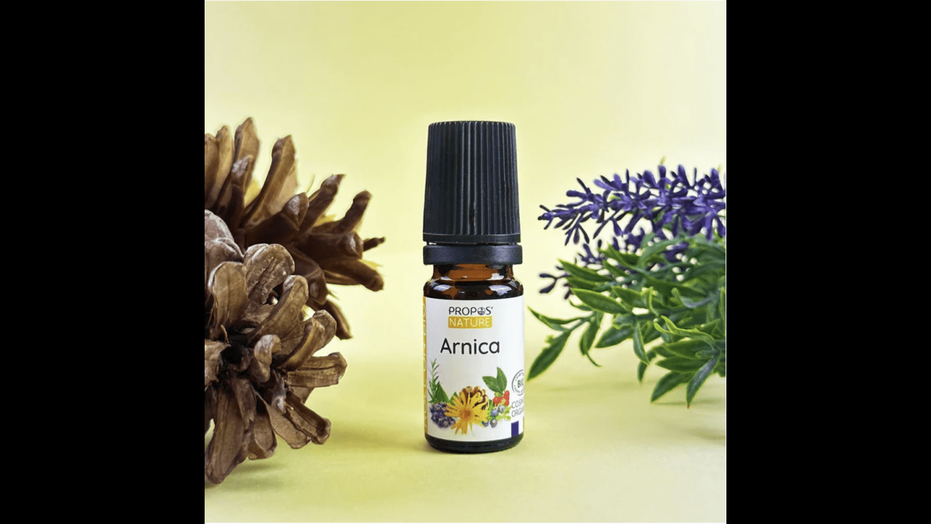 Roll-on Coups & Bosses Arnica Bio 5 ml - Fabriqué en France - Soin naturel BIO fabriqué en France - D.Crouzet